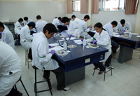 En el laboratorio, como parte de la segunda fase de la XIX Olimpiada Nacional de Biología, los jóvenes efectuaron la disección de un pez.
