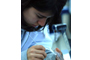 Los próximos biólogos pusieron a prueba sus talentos y conocimientos en temas de biología molecular, al realizar extracción de ADN y experimentos de micología.