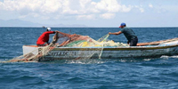 Desde el punto de vista biológico y oceanográfico, el mar es un sistema complejo, por ello, los trabajos de investigación del biólogo marino chileno Juan Carlos Castilla están centrados en entender cómo funcionan los sistemas marinos costeros, incluyendo la presencia del ser humano como pescador.