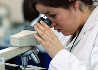 A pesar de los avances en la equidad de género, México es el país con el menor porcentaje de doctoras que laboran en el sector científico como investigadoras.