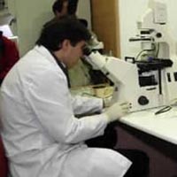 La AMC está integrada por investigadores de todas las áreas del conocimiento.