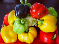 El estudio de los carotenoides en los chiles tanto secos como frescos es importante para saber la composición de los chiles que consumimos y por el desarrollo de técnicas para aislar compuestos de interés comercial.