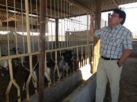 El doctor José Alberto Degadillo, experto en fisiología de la reproducción, en los corrales del Centro de Investigación en Reproducción Caprina (Circa) de la Universidad Autónoma Agraria 'Antonio Narro'.