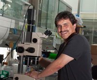 El doctor Luis Herrera Estrella, investigador del Centro de Investigación y de Estudios avanzados y miembro de la Academia Mexicana de Ciencias.