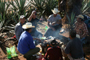 La expansión del cultivo de agave trajo consigo la migración de jornaleros del sureste del país.