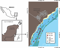 En la imagen se muestra la localización de la zona y los sitios de muestreo en los años de estudio sobre los arrecifes de coral de Mahahual, Quintana Roo, México.