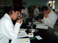 Mostrarán sus conocimientos teóricos y prácticos en Geografía, Química y Biología.