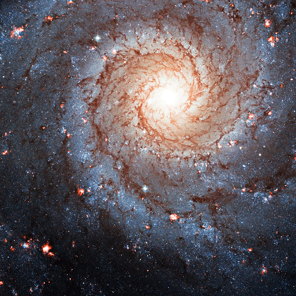 Galaxia espiral NGC 628, ubicada en la constelación de Piscis y localizada a una distancia de alrededor de 29 millones de años luz de la Vía Láctea.