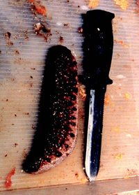 El pepino de mar contiene la molécula bioactiva neotiósido C, que controla e inhibe Leishmania mexicana, un microorganismo que produce úlceras cutáneas crónicas y se transmite por la picadura de un mosco.