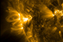 Arcos coronales en una región activa del Sol. El Observatorio de Dinámica Solar de la NASA registró la actividad del 8 al 10 febrero de 2014. La imagen fue tomada en luz ultravioleta extrema.