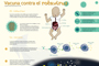 ¿Cómo actúa la vacuna?
Infografía: Natalia Rentería Nieto.