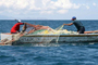 Desde el punto de vista biológico y oceanográfico, el mar es un sistema complejo, por ello, los trabajos de investigación del biólogo marino chileno Juan Carlos Castilla están centrados en entender cómo funcionan los sistemas marinos costeros, incluyendo la presencia del ser humano como pescador.