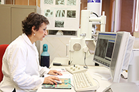 Doctora Leticia Myriam Torres Guerra, de la Universidad Autónoma de Nuevo León (UANL), integrante de la Academia Mexicana de Ciencias, ganadora del Premio Nacional de Ciencias 2018.