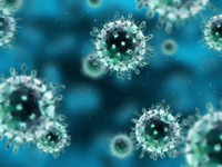 Imagen del virus sincitial respiratorio, uno de los más comunes patógenos asociados a las enfermedades respiratorias que se presentan mayormente en los meses más fríos del año.