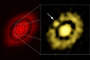 Del lado izquierdo la imagen obtenida con ALMA, que muestra la estructura de disco dividido por una serie de anillos separados por espacios intermedios. A la derecha, acercamiento hecho con los datos del VLA, el cual muestra la región central del disco; la flecha indica la posición de un bulto de gas y polvo que es considerado el inicio de la formación de un planeta.