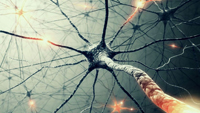 En los últimos años, estudios de neuroimagen ha empezado a explorar la conectividad funcional cerebral mediante la medición del nivel de coactivación de series temporales de resonancia magnética funcional (RMf) en estado de reposo entre distintas regiones del cerebro.