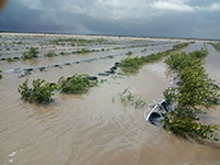 Las problemáticas complejas como el cambio climático no se solucionan, se mejoran o empeoran, y son síntoma de otro problema, en el fondo se trata de problemas sociales y no naturales o físicos, señala el investigador Francisco Estrada Porrúa, del Centro de Ciencias de la Atmósfera de la UNAM.