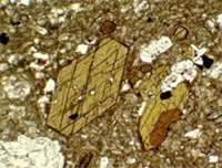 Cristal mineral ferromasnesiano.