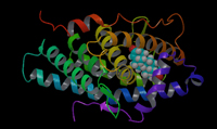 La progesterona puede inducir la respuesta inmune mediante la producción de citocinas. En la imagen, modelo tridimensional de la molécula de progesterona (en el centro y colores azul claro, blanco y rojo) en relación con la molécula del sitio receptor a la hormona.