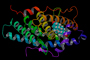La progesterona puede inducir la respuesta inmune mediante la producción de citocinas. En la imagen, modelo tridimensional de la molécula de progesterona (en el centro y colores azul claro, blanco y rojo) en relación con la molécula del sitio receptor a la hormona.