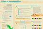 Los códigos genéticos son una secuencia de un fragmento corto y estandarizado de ADN que se puede obtener de cualquier tejido. Infografía: Natalia Rentería Nieto.