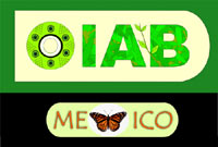 Participan cinco paí­ses iberoamericanos (México, Argentina, Perú, Brasil y España.