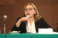 Diputada Marivel Solís Barrera, presidenta de la Comisión de  Ciencia y Tecnología e Innovación de la Cámara de Diputados.