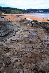 Huellas de dinosaurios saurópodos en la playa La Griega, próximas al Museo del Jurásico de Asturias.