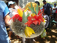 Sombrero de palma adornado con lirio amarillo (Prosthechea karwinskii), junco rojo (Disocactus ackermannii) y musgo (Tillandsia usneoides).