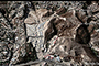 Imagen satelital de un desarrollo inmobiliario en Tejamen,Tijuana, BC, llamado Valle del Pedregal, en el que se observa la construcción de casas. Se trata de en un sitio vulnerable pues en temporada de lluvias el agua retoma su caudal.