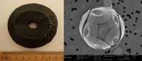 Representación de Coccolithus pelagicus. Izquierda figura a escala amplificada, derecha imagen de microscopio electrónico obtenida de la International Nannoplankton Association, (Young et al., 2014).