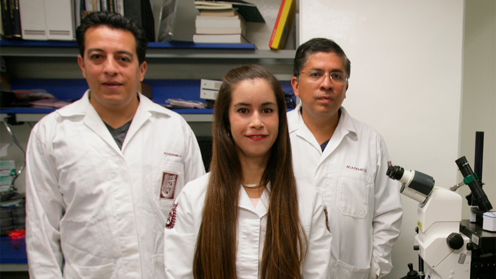 Stefany Cárdenas Pérez ganadora del Premio Weizmann 2018 en ingeniería y tecnología, la acompañan sus asesores de tesis Juan Vicente Méndez Méndez y José Jorge Chanona Pérez.