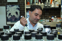 El doctor Félix Recillas Targa, investigador del Instituto de Fisiología Celular de la UNAM y miembro de la Academia Mexicana de Ciencias, en su laboratorio.