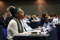 Shantelle Herny, representante de la Academia de Ciencias del Caribe, durante el Taller 