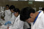 Estudiantes durante las pruebas de laboratorio en la Olimpiada de Química.