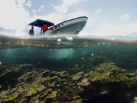 Guardaparques  vigilando el Arrecife Limones. Se muestra el  coral cuerno de alce (Acropora palmata).