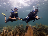 Investigadoras evaluando la salud de los arrecifes de Puerto Morelos.