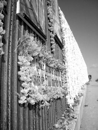 Muro fronterizo de Tijuana-San Ysidro.