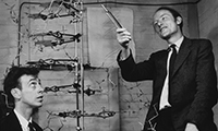 James Watson y Francis Crick junto a uno de sus modelos de la molécula del ADN en los Laboratorios de Cavendish de la Universidad de Cambridge en 1953.