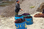 Buceo de erizo rojo y morado en el polígono 2, de exclusividad marina. Puerto Los Arbolitos, Baja California.