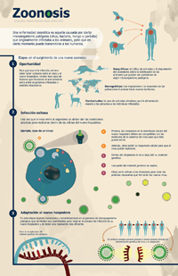 Infografía: Natalia Rentería Nieto DGDC-UNAM/AMC.