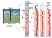 Expedición ICDP 364. (A) Ubicación del sitio M0077A en el perfil de reflexión sísmica convertido en profundidad ChicxR3 (13,14), superpuesto por la velocidad sísmica de la onda P(27). (B) Litología encontrada en el Sitio M0077A desde 600 m hasta profundidad total, con sedimentos paleogénicos (gris), brecha con fragmentos de impacto (azul), roca de impacto fundido (verde), base félsica (rosa) y diques preimpacto (amarillo). Para indicar una posible diferencia de  origen, el color azul y verde dentro de la brecha es ligeramente más suave que en los diques. (C) Propiedades petrofísicas correspondientes: densidad gamma [gramos por centímetro cúbico (g /cc)] y NGR [recuentos por segundo (cps)] medidos en los núcleos usando un MSCL y velocidad sísmica de onda P (km/s) obtenida a partir de datos de ondas sónicas (rojo) y VSP (azul) registro por cable (21).