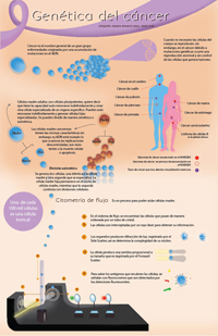 Cada tumor maligno es muy diferente a otro y encontrar patrones comunes para todos es prácticamente imposible, dijo el doctor Jorge Meléndez Zajgla, miembro de la AMC. Infografía: Natalia Rentería Nieto.