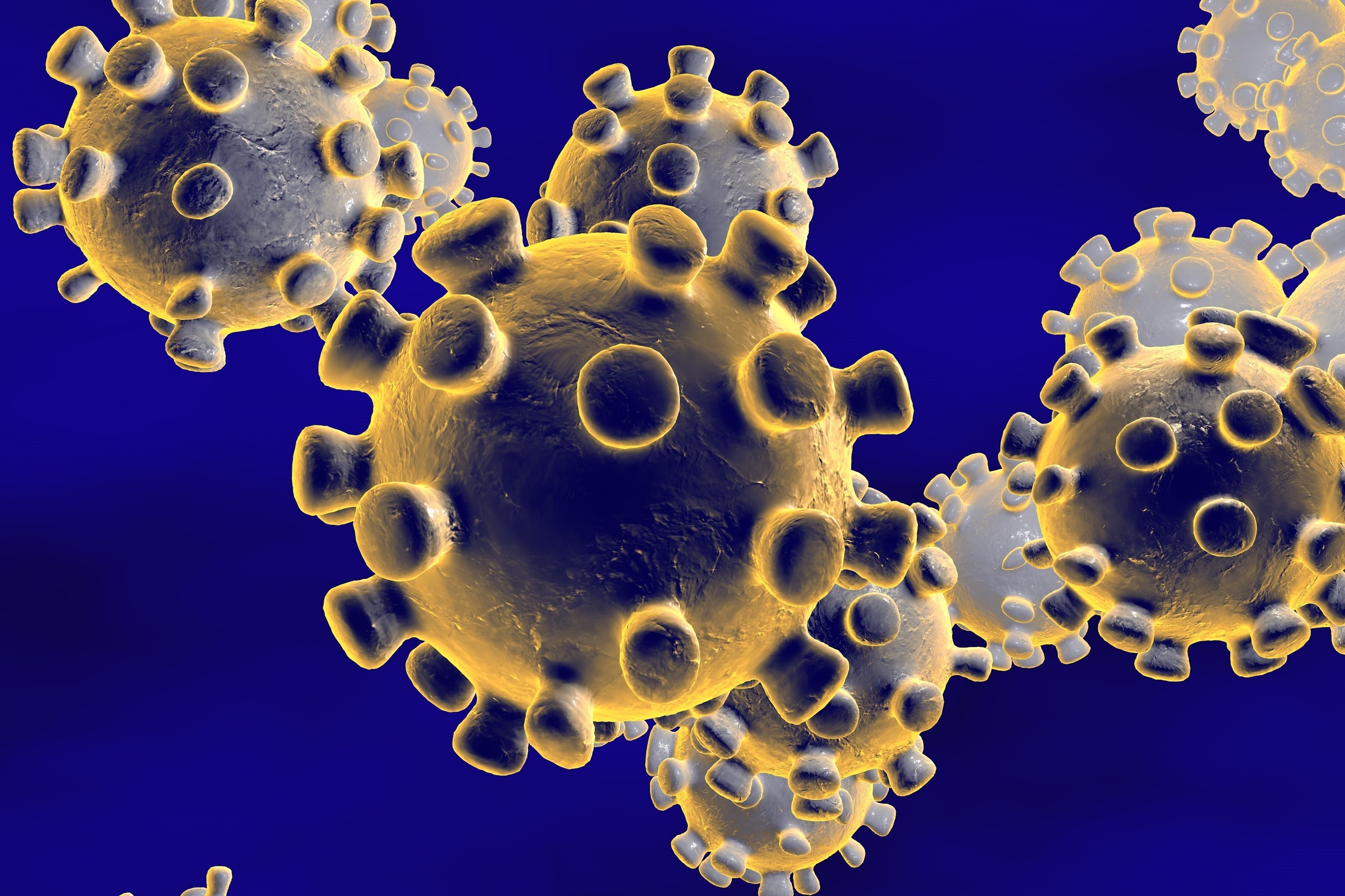 Los coronavirus (CoV) son una gran familia de virus que causan enfermedades respiratorias desde un resfriado común hasta enfermedades más graves.