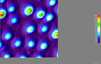 Con el arreglo de microscopía confocal se ha logrado reconstruir la imagen de nanoesferas fluorescentes de 30 nanómetros de diámetro.
