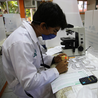 Estudiantes en las prácticas de laboratorio en el Instituto Tecnológico de Chetumal.