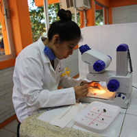 Estudiantes en las prácticas de laboratorio en el Instituto Tecnológico de Chetumal.