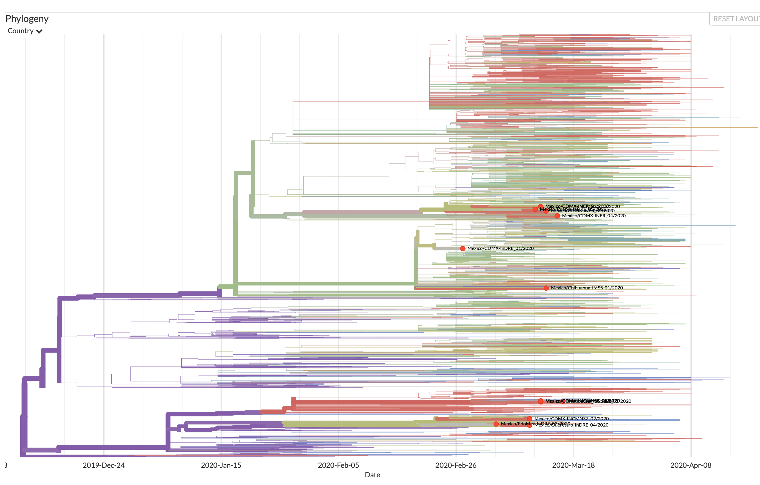 Mapa filogenético de relaciones genéticas entre los genomas obtenidos de personas infectadas con SARS-CoV-2. Los puntos rojos muestran las secuencias mexicanas.