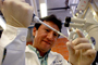 El investigador del Instituto de Fisiología Celular fue galardonado con el Premio de Investigación 2009 en el Área de Ciencias Naturales que otorga la AMC.