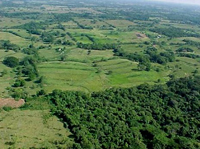 La fragmentación del paisaje ocurre cuando un hábitat, inicialmente continuo, es dividido en porciones de menor tamaño, un ejemplo se presenta cuando las áreas boscosas son convertidas en plantaciones, cultivos o zonas de pastoreo; entre los efectos de esta actividad está el  aislamiento de la fauna nativa.